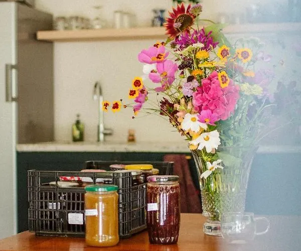 Casaviel Bed & Breakfast