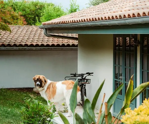 Casaviel ビアリッツ