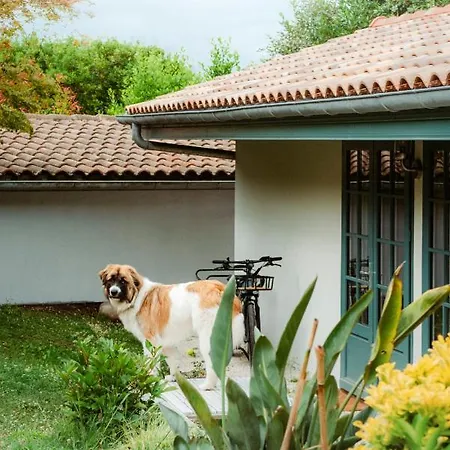 Casaviel Биарриц