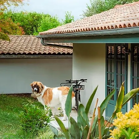 Bed and Breakfast Casaviel Μπιαρίτζ