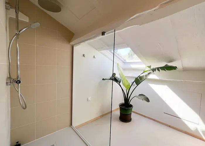 Casaviel 비아히쯔